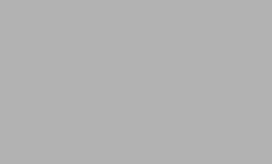Liner Gris Clair