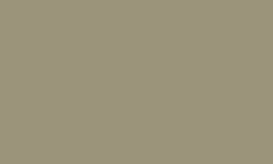 Liner Olive