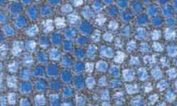 Liner Imprimé - Byzantin Bleu
